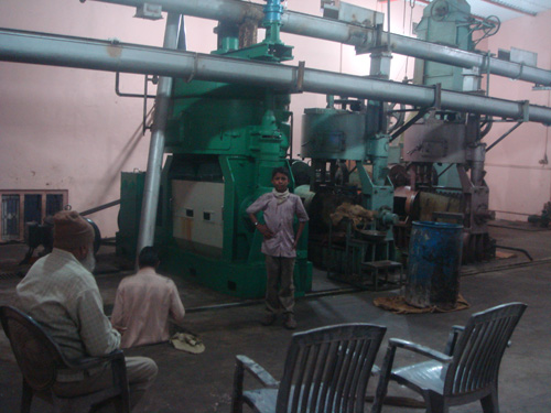 Oil Seed Extraction Machinery