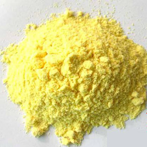 maize flour