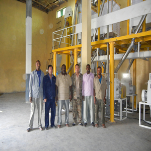 ethopia flour mill project