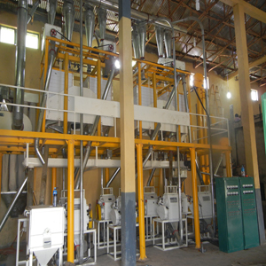 complete flour mill plant